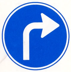 Señal D5: Dirección obligatoria indicada en la señal