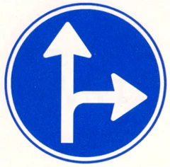 Señal D6: Obligación de seguir una de las direcciones indicadas
